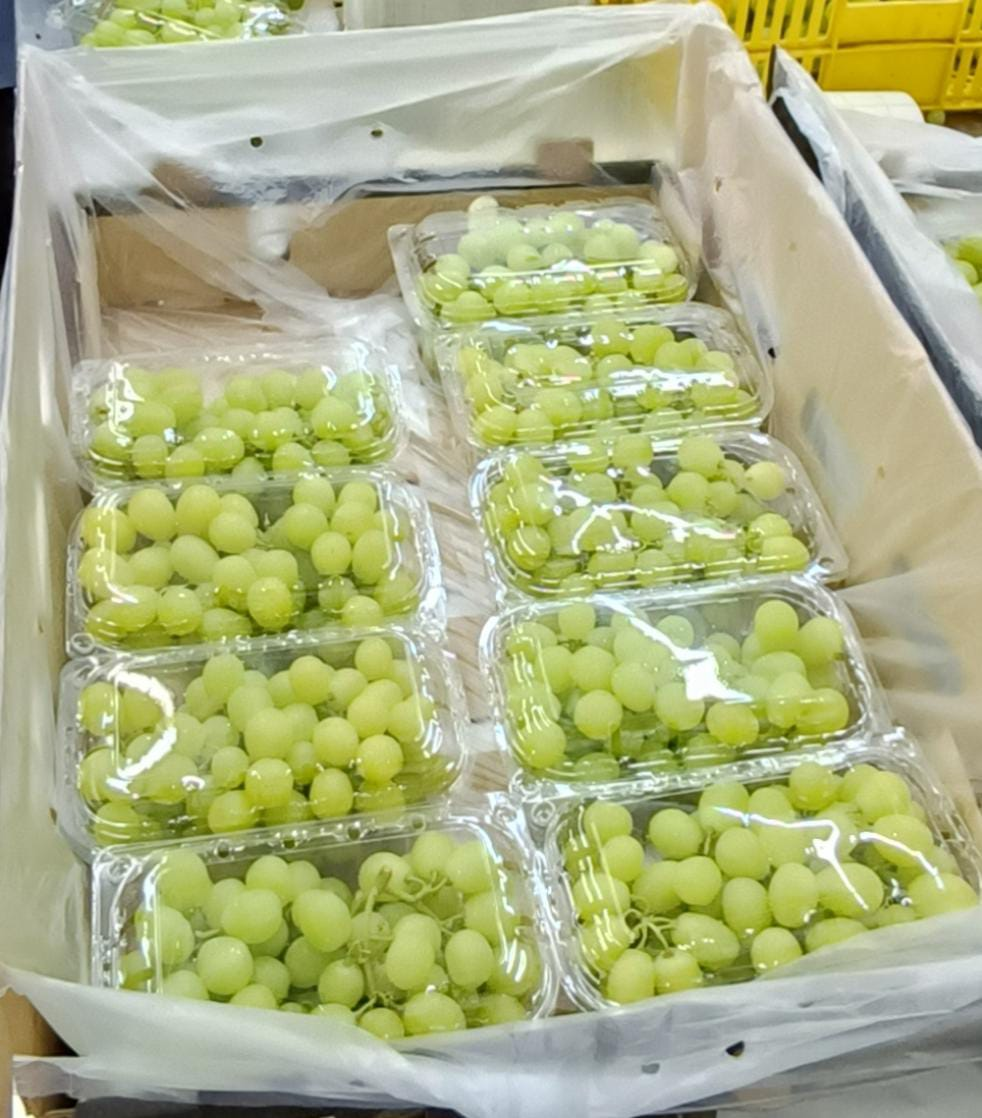 Premium Egyptian Grapes