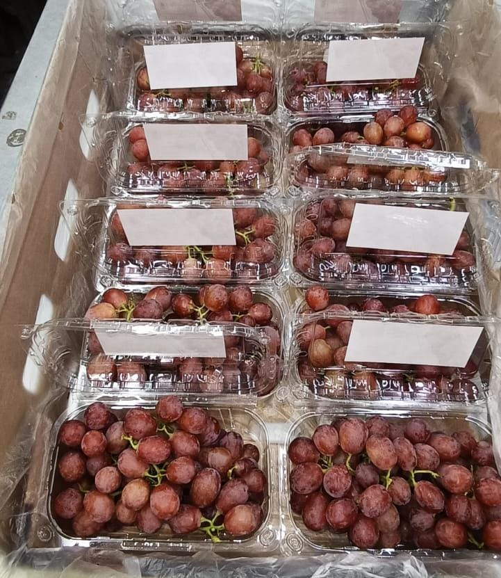 Premium Egyptian Grapes